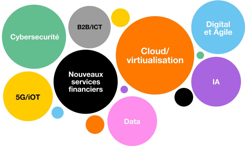 Nouvelles expertises et compétences rares Orange Cameroun2